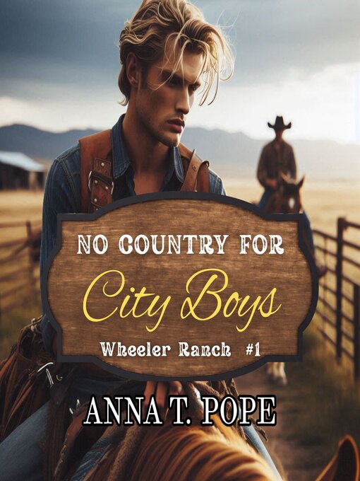 Cover image for No Country for City Boys